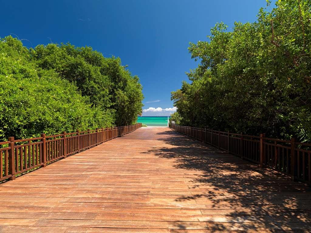 The Reserve Paradisus Playa Del Carmen (Adults Only) Natureza foto