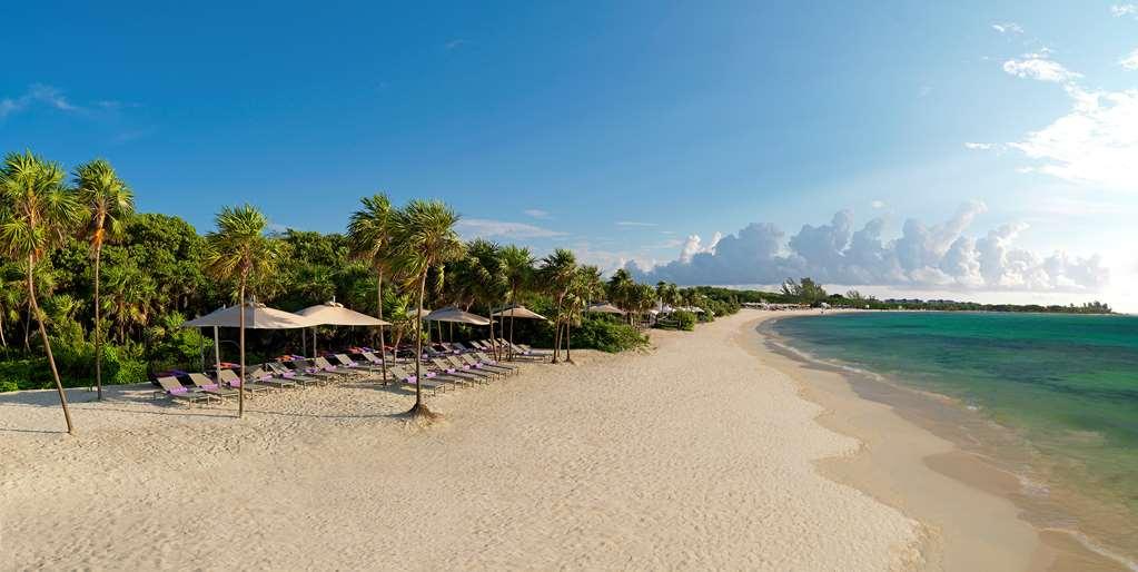 The Reserve Paradisus Playa Del Carmen (Adults Only) Natureza foto